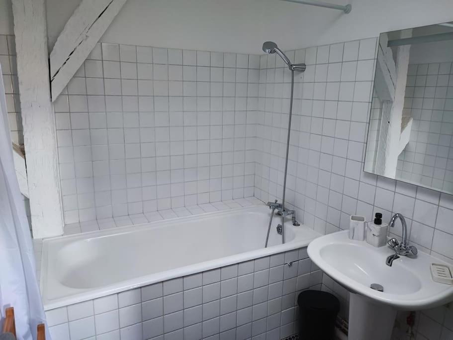 Magnifique Appartement Beaux Arts Tours Eksteriør bilde