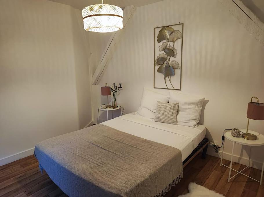 Magnifique Appartement Beaux Arts Tours Eksteriør bilde