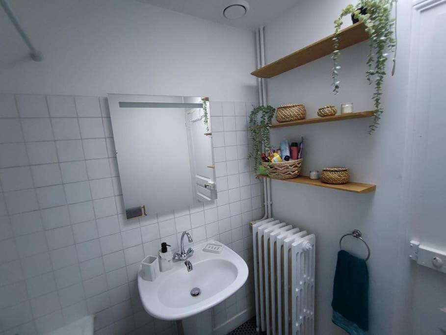 Magnifique Appartement Beaux Arts Tours Eksteriør bilde