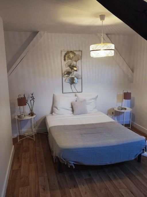 Magnifique Appartement Beaux Arts Tours Eksteriør bilde