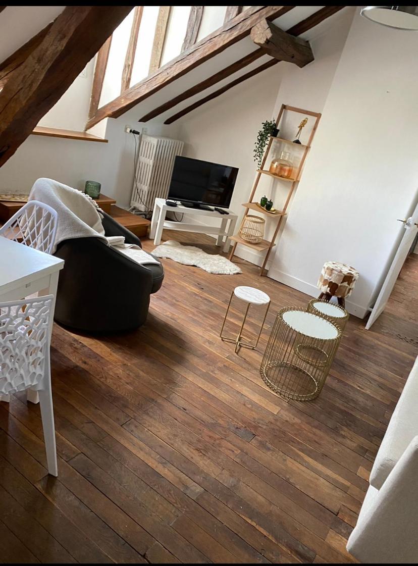 Magnifique Appartement Beaux Arts Tours Eksteriør bilde